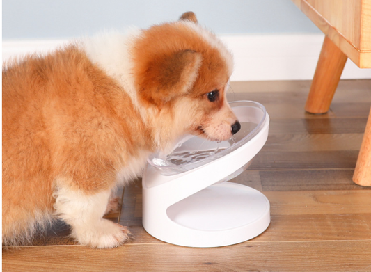 Pet Bowl