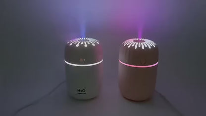 Humidifier